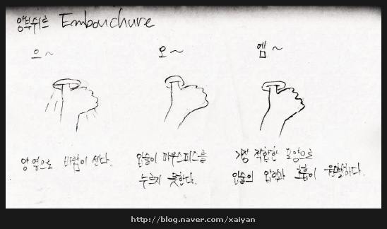 앙부쉬르_설명_1-xaiyan.jpg