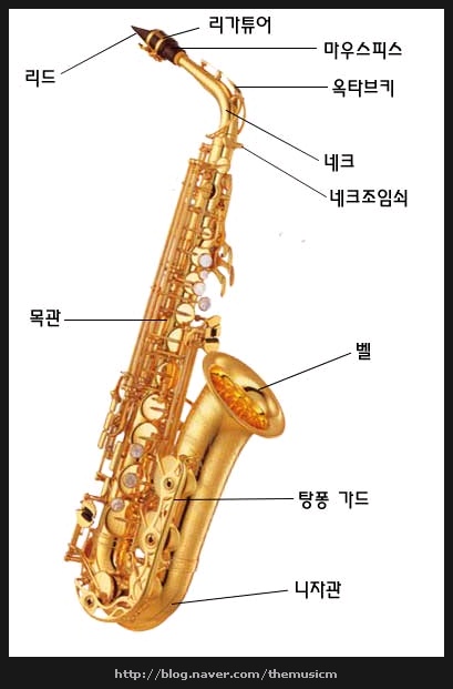 parts_name_1-themusicm.jpg